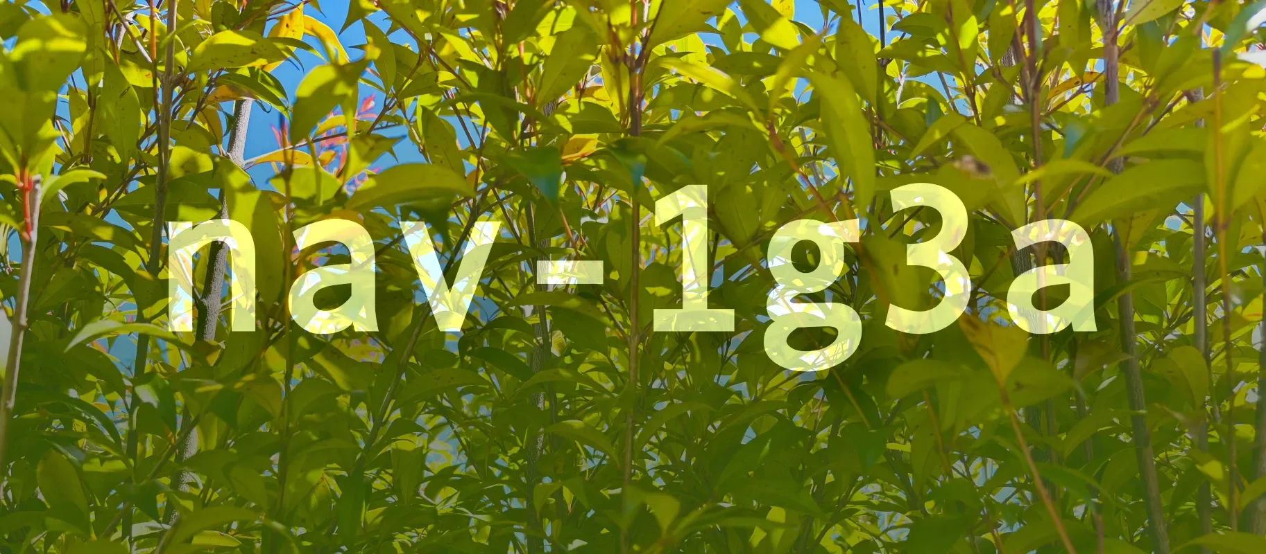 Text reading "nav-1g3a" overlaid on green foliage.