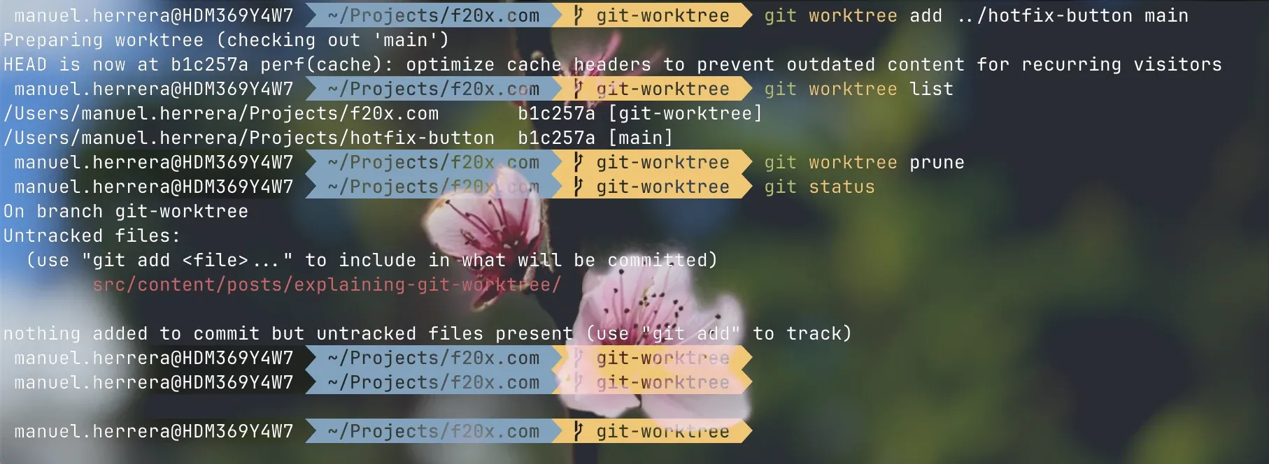An screenshot of a terminal over a blossom branch.